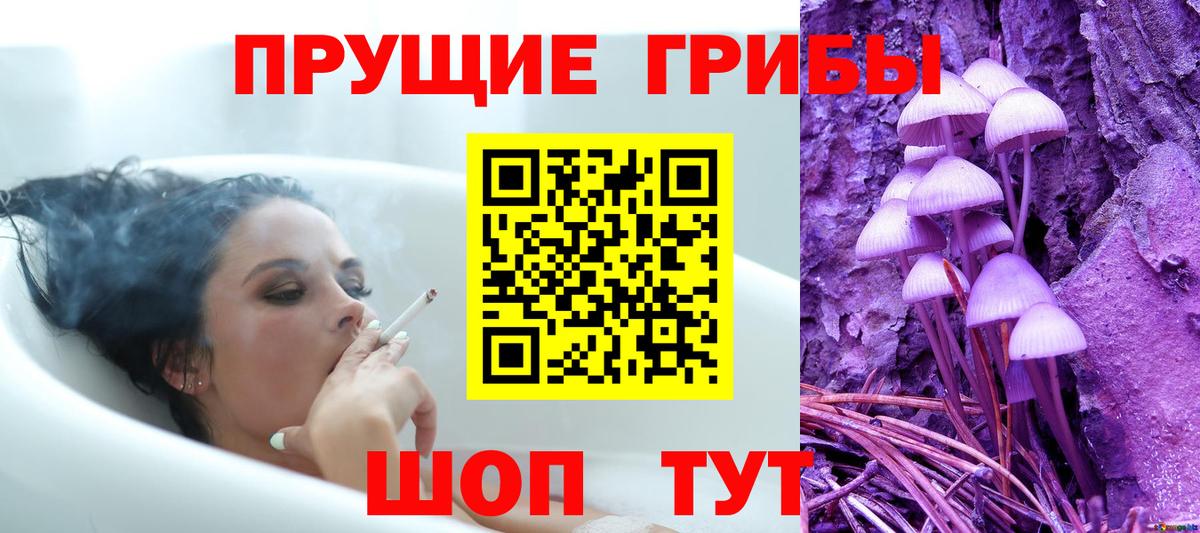 Галлюциногенные грибы прущие грибы  Вход с VPN  купить закладку  Будённовск 