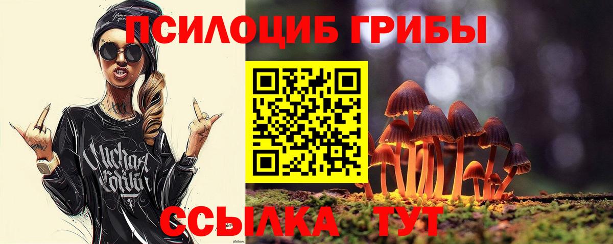 Псилоцибиновые грибы Psilocybine cubensis Будённовск